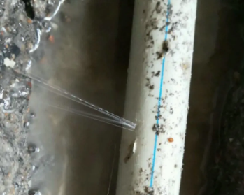东区卫生间测漏水多少钱